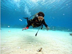 プランの魅力 Plan including 2 dives の画像