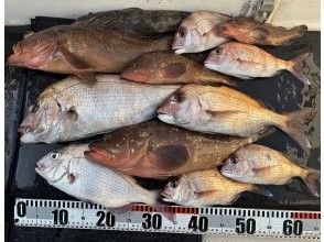 プランの魅力 真鯛、あこう、コチ の画像