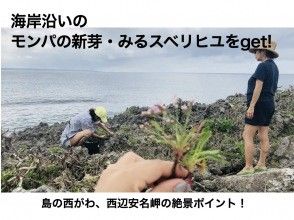 プランの魅力 絶景ポイント2 の画像