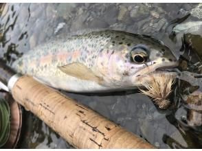 プランの魅力 釣れる魚はニジマス・アメマス・ウグイなど。 の画像