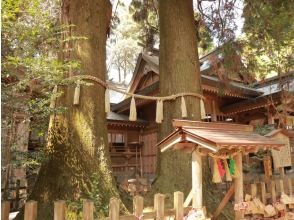 プランの魅力 Takachiho Shrine の画像