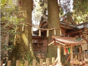 プランの魅力 高千穂神社 の画像