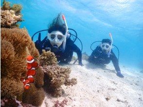 プランの魅力 ニモなど近くで観察！ の画像