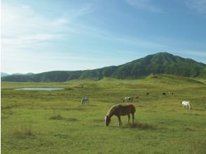 プランの魅力 草千里 の画像