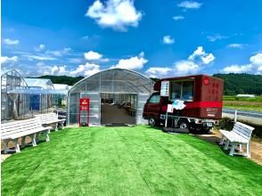 プランの魅力 You can take the strawberries you picked home with you or enjoy them outside or in the rest area of the reception house. の画像
