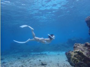 プランの魅力 素潜りできる方は の画像