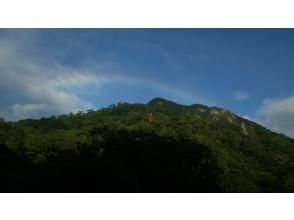 プランの魅力 照葉樹林に青い空 の画像