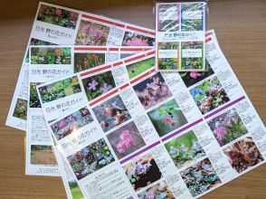 プランの魅力 ご参加いただいた方には「日光 野の花ガイド」をプレゼントいたします! の画像