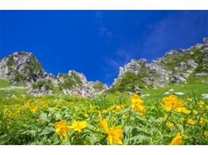 プランの魅力 絶景・千畳敷カール の画像