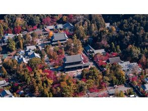 プランの魅力 寺社仏閣を上空から の画像