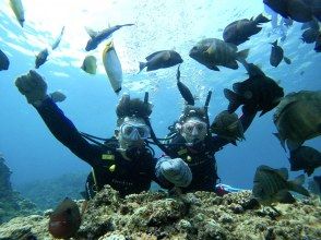 プランの魅力 青の洞窟の外はお魚まみれ！ の画像