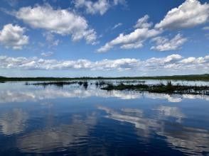 プランの魅力 Since it is a long canoeing experience, you will have more opportunities to meet wild animals! の画像