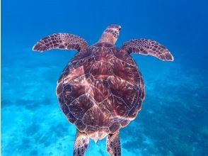 プランの魅力 ビーチの浅瀬でレクチャー♪ の画像