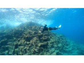 プランの魅力 海のお写真プレゼント の画像