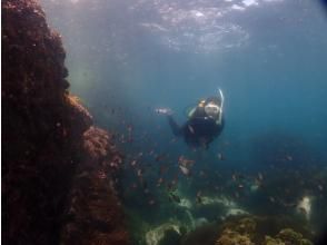 プランの魅力 大都市近郊の海なのに視界が良好 の画像