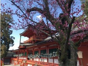 プランの魅力 の画像