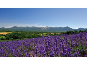 プランの魅力 深山峠 の画像