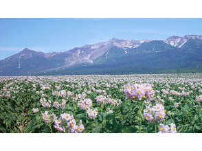 プランの魅力 旭野やまびこ高地 の画像