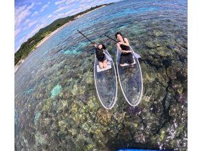 プランの魅力 がっかりさせない海で開催！ の画像