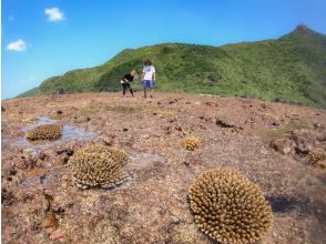 プランの魅力 雄大な山景とサンゴ礁 の画像