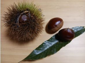 プランの魅力 宇目栗 の画像