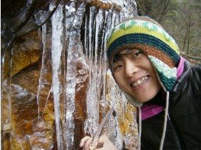 プランの魅力 沢登り途中は氷柱の世界 の画像