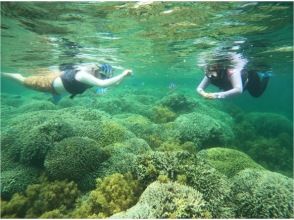 プランの魅力 浮潛（附加選項） の画像