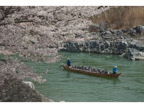 プランの魅力 벚꽃 배 の画像