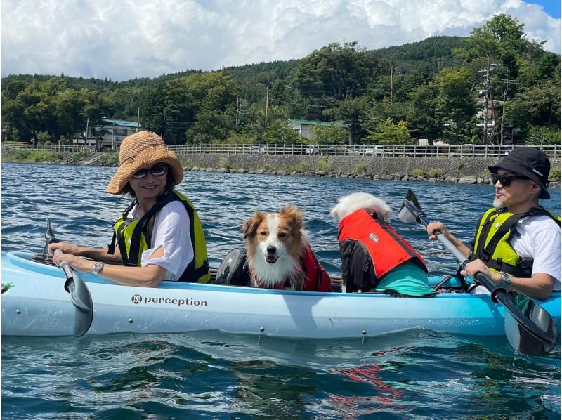 ทะเลสาบยามานาชิ ยามานากะ เที่ยวชมกับสุนัข เล่นกับสุนัขของคุณ พายเรือแคนู คายัค สุนัขมองทะเลสาบอย่างมีความสุข ActiBase