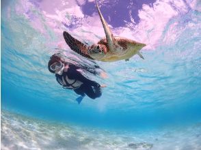 プランの魅力 撮影データぜーんぶ無料プレゼント☆ の画像