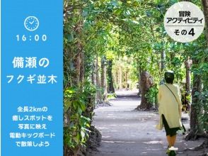 プランの魅力 Don't forget ♪ Feel like Totoro with Fukugi trees ♪ の画像