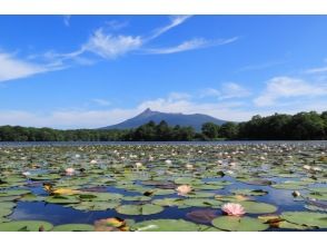 プランの魅力 A guide to scenic spots where water lilies bloom in the morning can only be reached by boat の画像