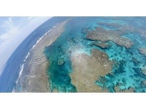 プランの魅力 산호초에 둘러싸인 세계 の画像