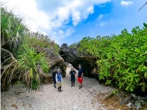 プランの魅力 無人島の冒険!! の画像