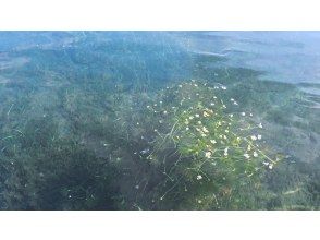 プランの魅力  の画像