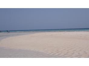 プランの魅力 百合ヶ浜と写真を撮りましょう！ の画像