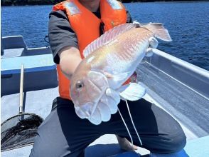 プランの魅力 狙いはポイント一番の高級魚 の画像