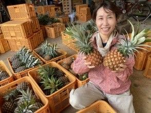 プランの魅力 石垣島　ともさん　 の画像