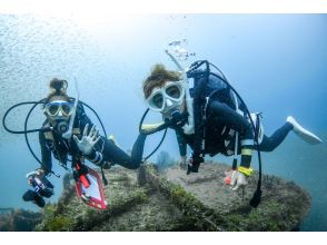 プランの魅力 南紀白浜の海を堪能できます！ の画像