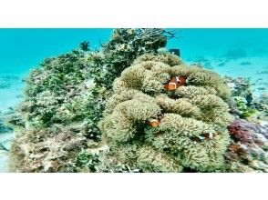 プランの魅力 リアル水族館♪ の画像