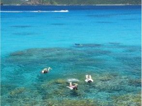 プランの魅力 太美了 の画像