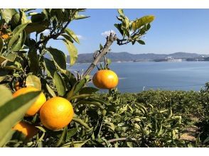 プランの魅力 奥浜名湖の豊かな自然を湖上からゆっくり眺めてください。 の画像