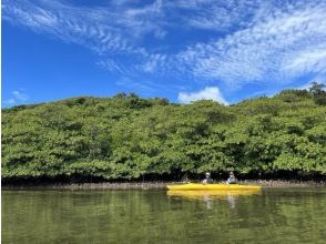 プランの魅力 マングローブ林に囲まれた穏やかな川 の画像