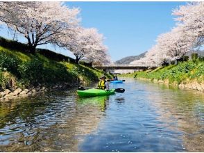 プランの魅力 美国拖车之旅 の画像