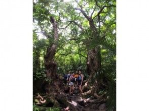 プランの魅力 Jungle trekking の画像