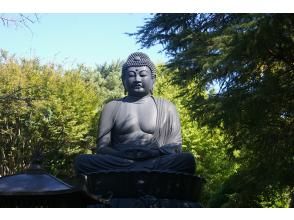 プランの魅力 Tokyo Great Buddha の画像