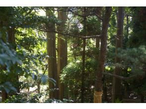 プランの魅力 赤塚植物園 の画像