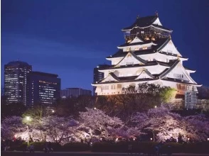 プランの魅力 Osaka Castle の画像