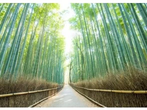 プランの魅力 Arashiyama Bamboo Grove の画像