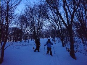 プランの魅力 清晨部分 の画像